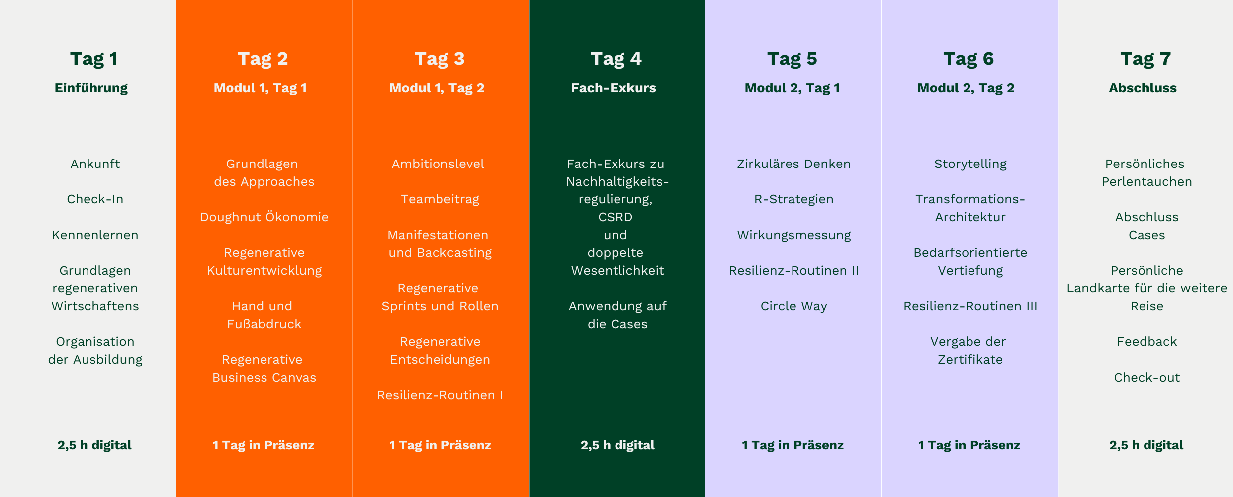 banner-stellar-academy-neu-4096x