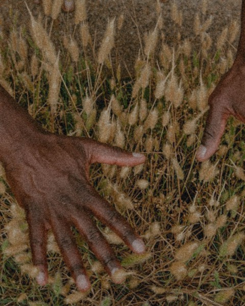 item.image.alt