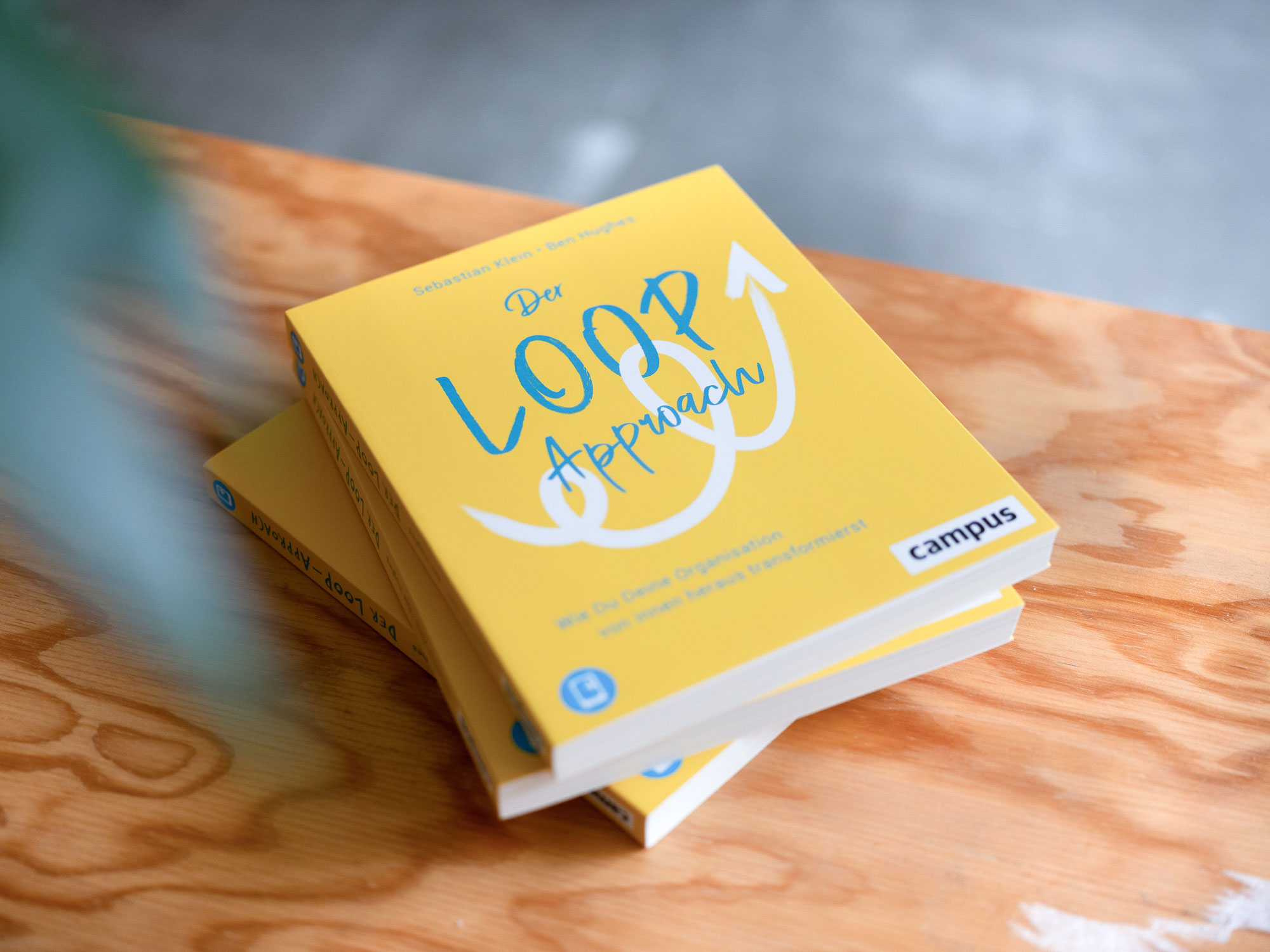 dive_36824_preview-2