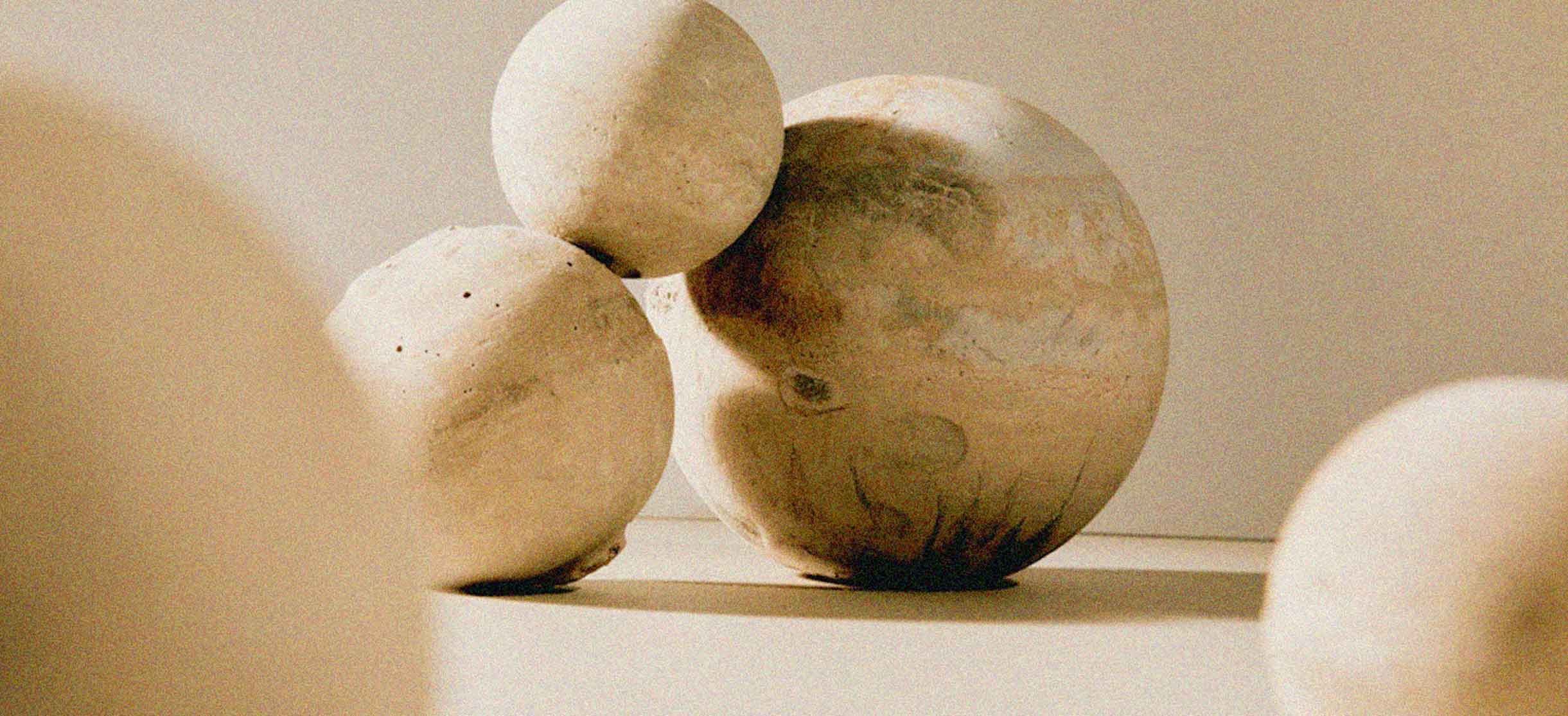 new_leadership_v5_2024