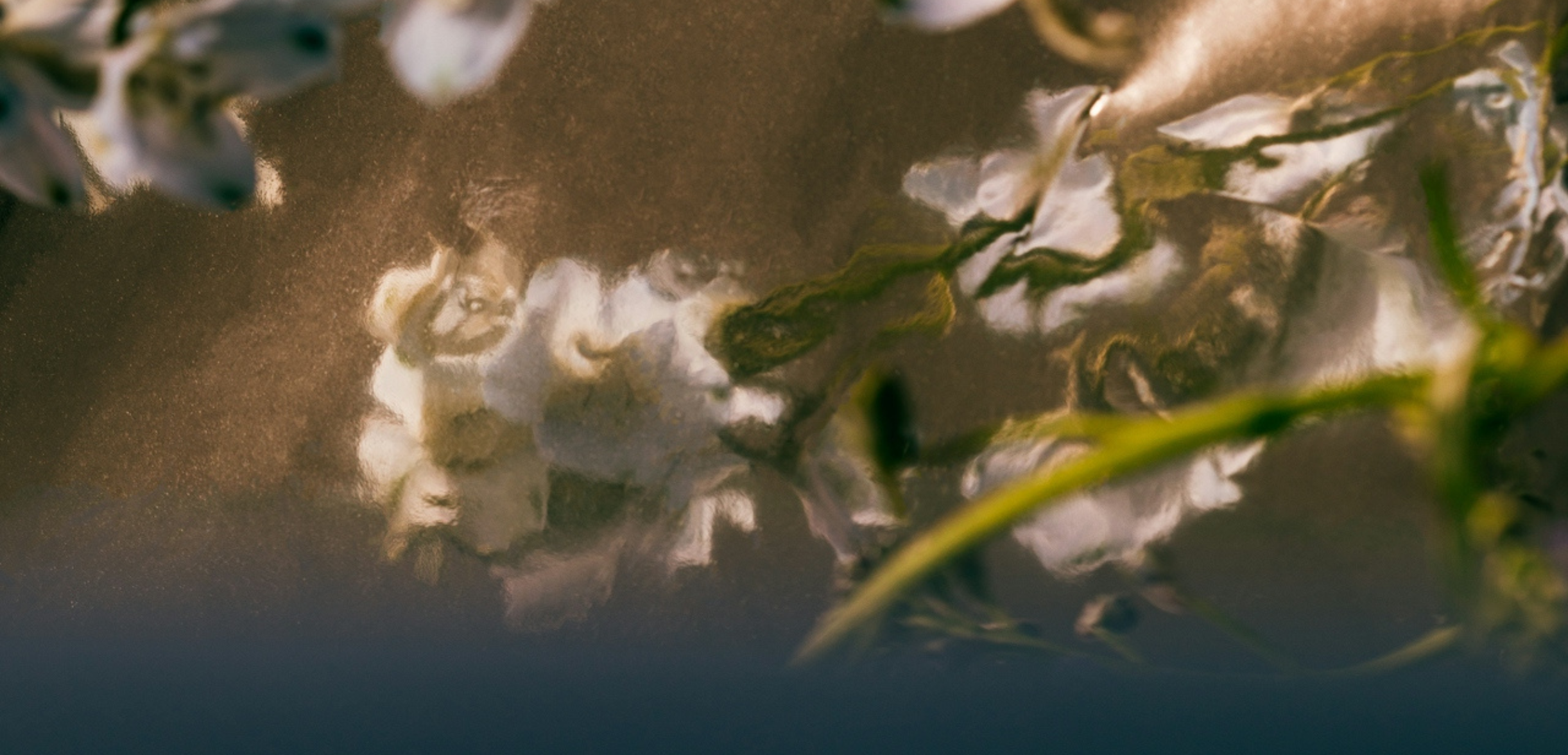 kopie-von-kopie-von-website-hero-image-17