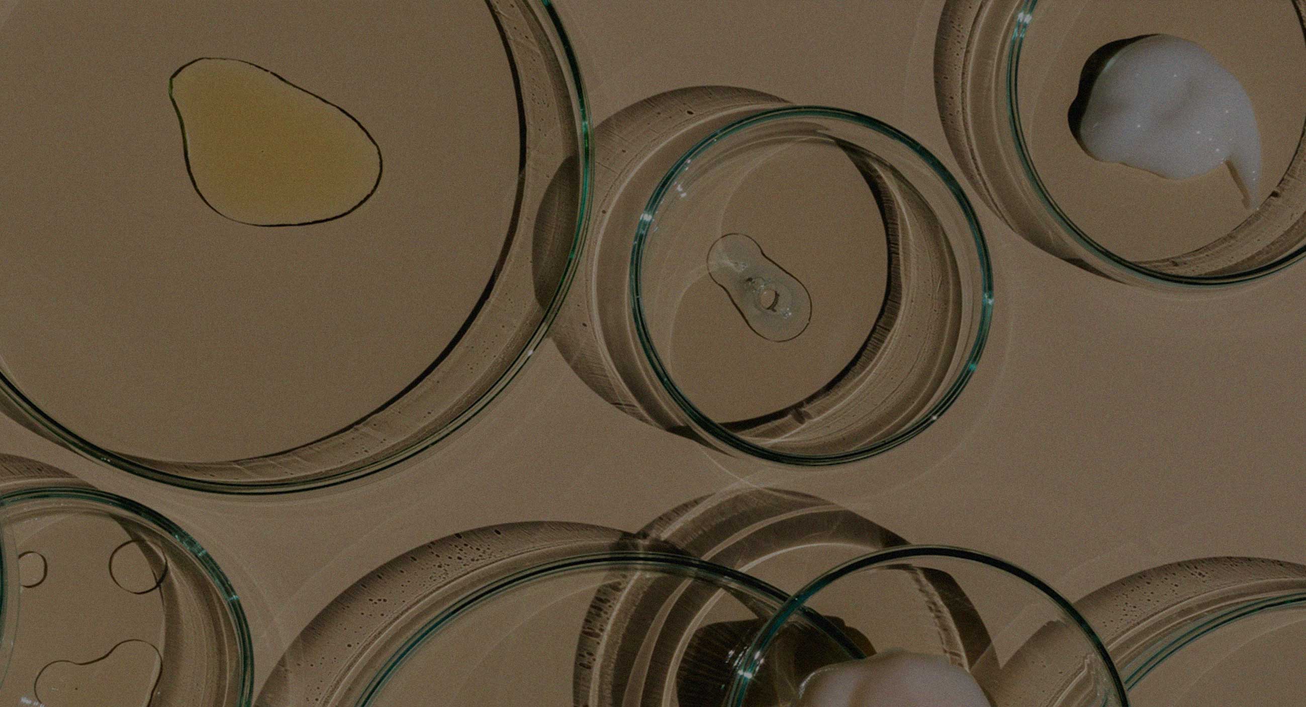 gesundheit-selbstorganisation-im-krankenhaus_2