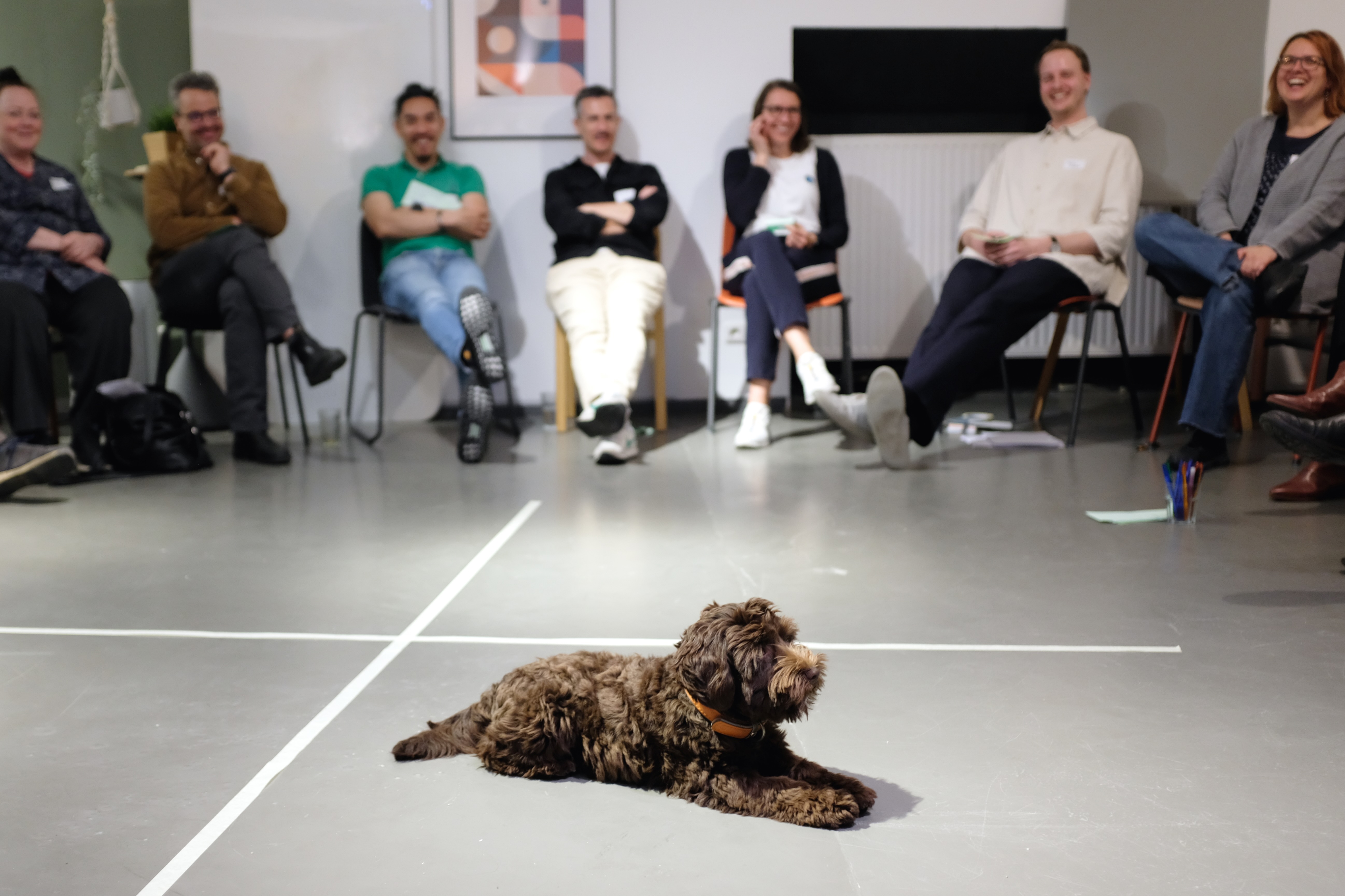 thedive_hive_loop_insights_8-1