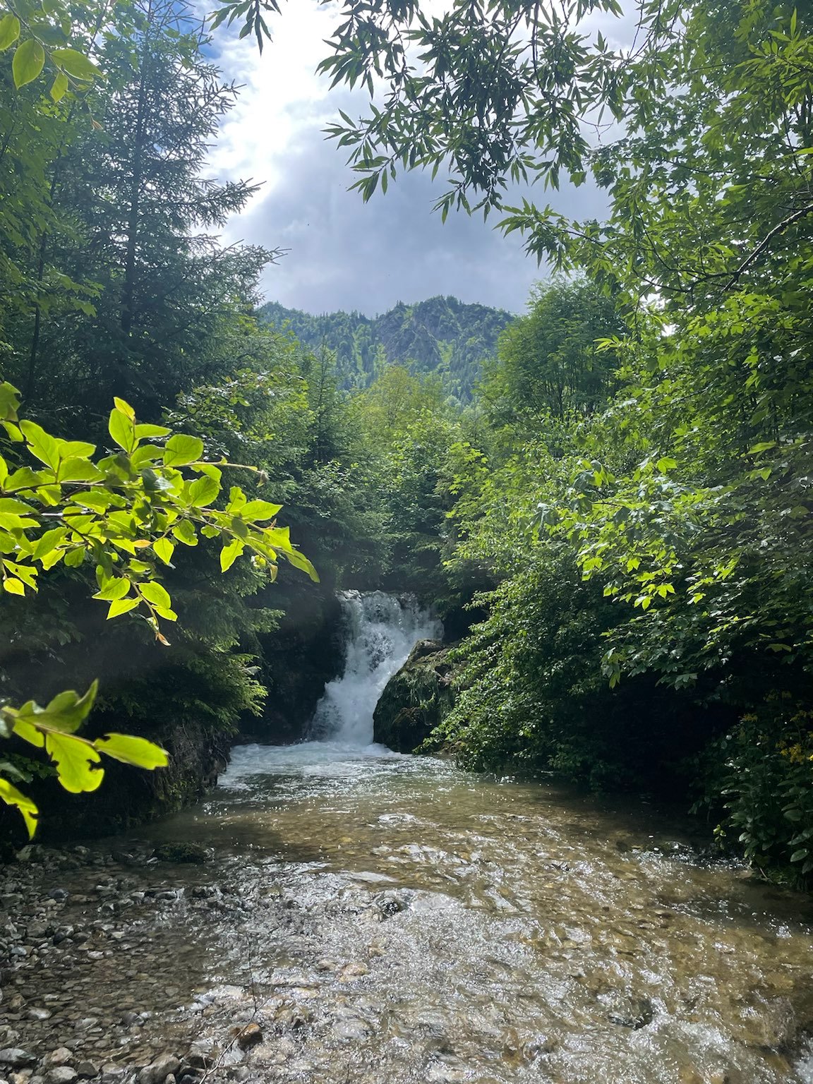 signal-2021-07-09-151027_001