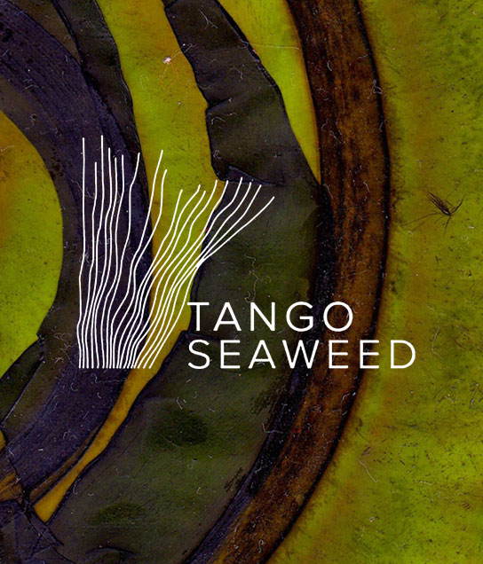 tango_seaweed_01