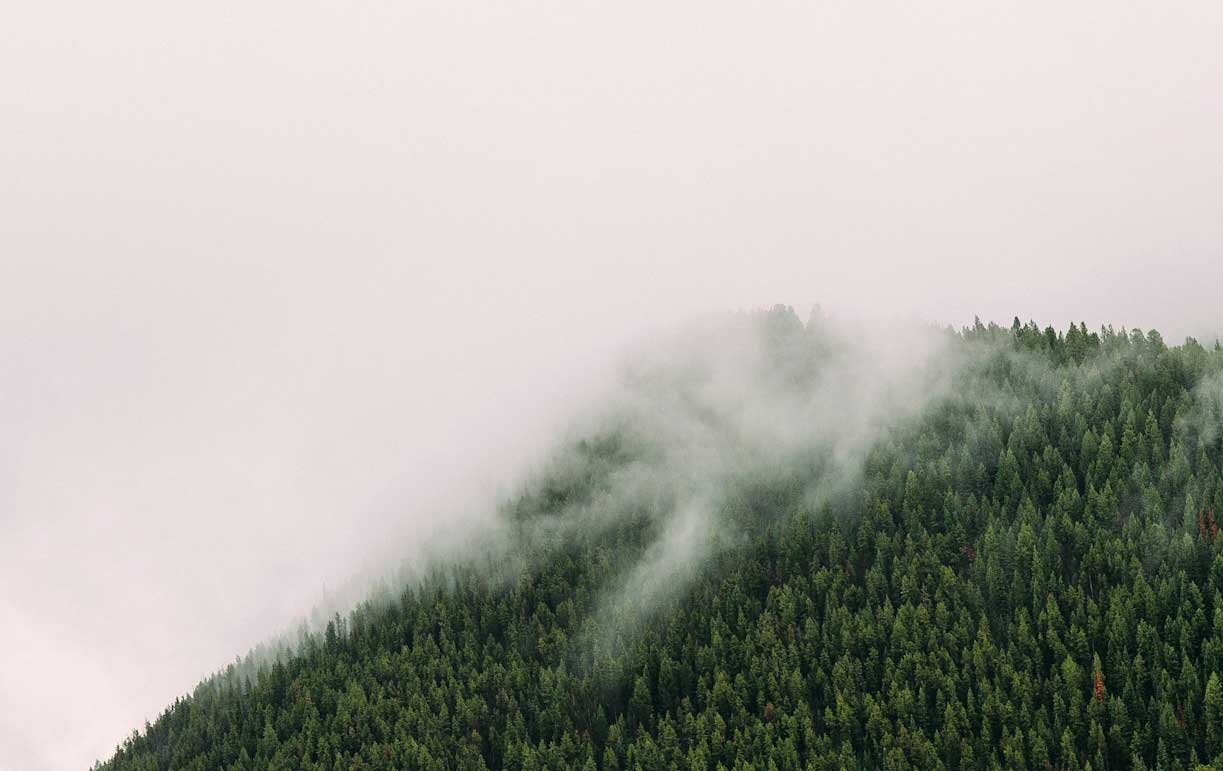 thedive_regenerative_leadership_alignment