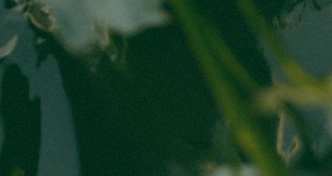 stellar-approach-modul-1-480x_flat