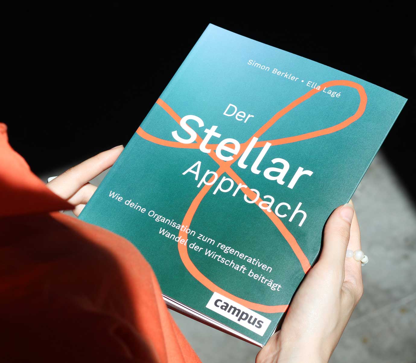 der-stellar-approach_book_cover
