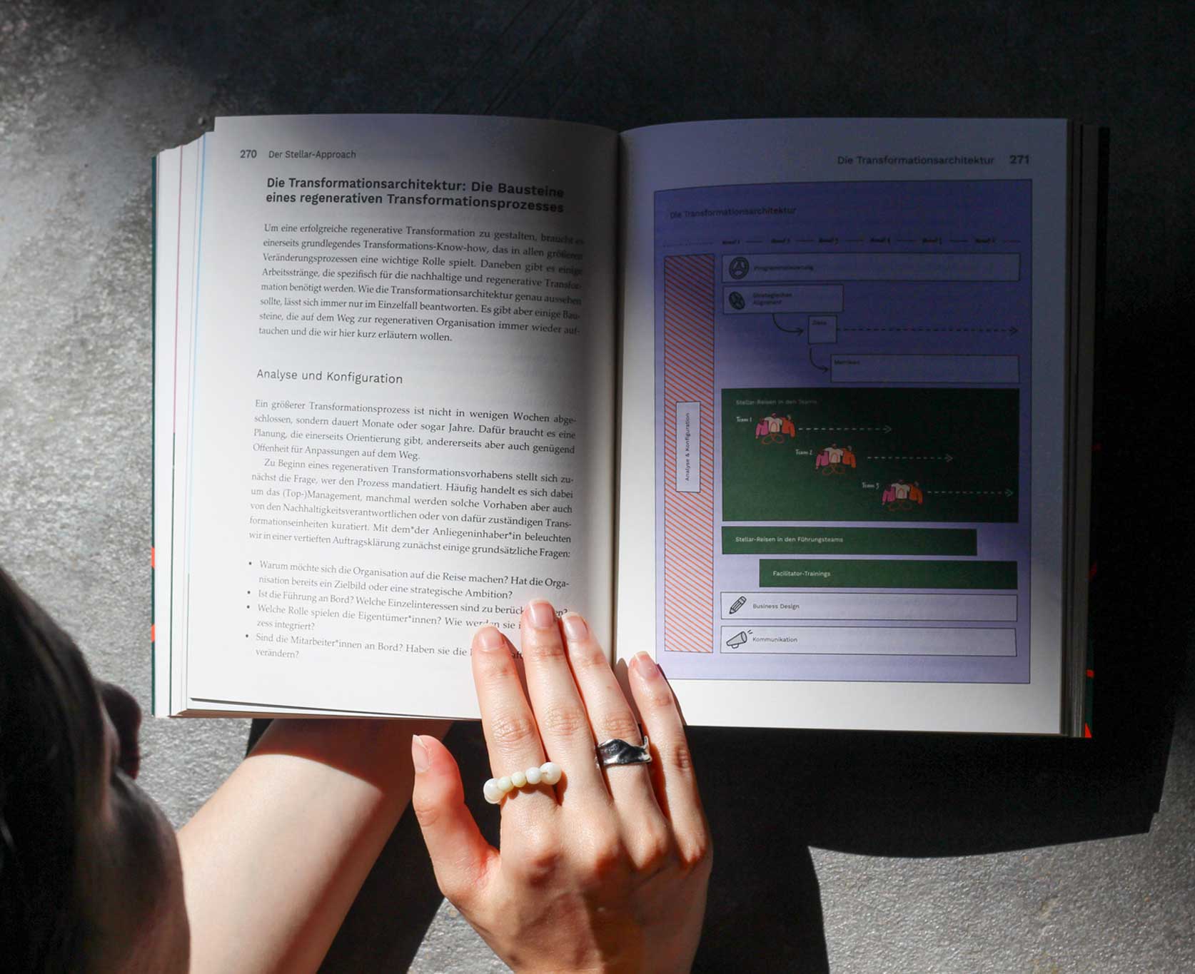 thedive_stellar_transformationsdesign