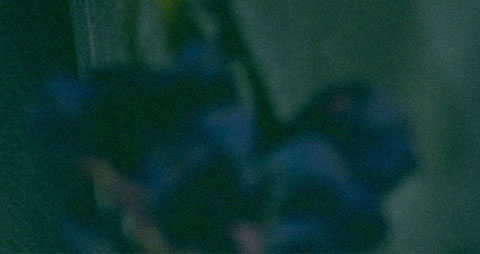 stellar-approach-modul-3-480x_2_flat