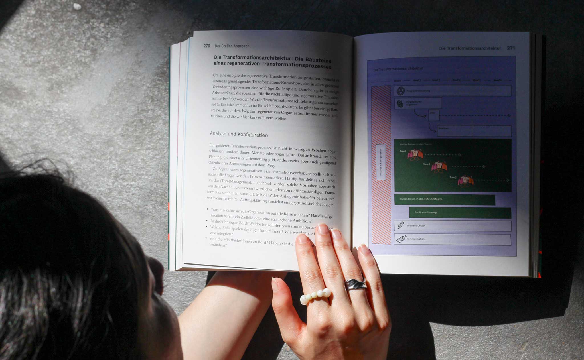 thedive_stellar_transformationsdesign_mobile